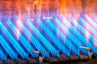 Martinhoe Cross gas fired boilers